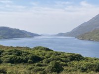 IMG_7488.jpeg