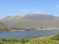 IMG_7489.jpeg
