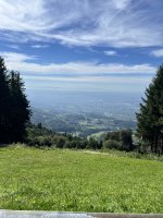 IMG_7165.jpeg
