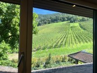 IMG_7178.jpeg