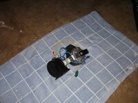 100_0452.jpg
