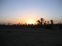 Sunset 1.jpg
