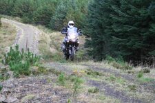 IMG_0138.jpg