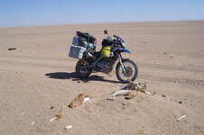 Gobi-Dakar.jpg