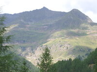 CIMG0102.jpg