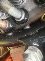 IMG_6255.jpeg
