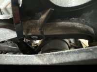 IMG_9798.jpeg