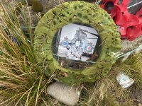 IMG_6929.jpeg