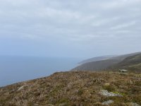 IMG_6938.jpeg