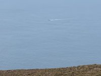 IMG_6940.jpeg