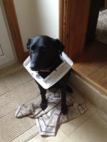 IMG_1977.jpeg