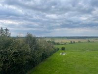 IMG_4553.jpg