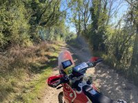 IMG_7553.jpeg