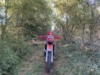 IMG_7557.jpeg