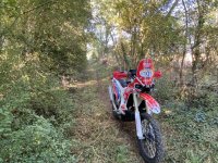 IMG_7558.jpeg