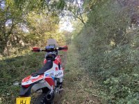 IMG_7559.jpeg