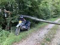 IMG_0562.jpeg