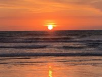 EB98632B-A02C-48A6-855E-7CFCD6653CDC.jpeg