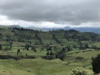 7D66D96A-6193-4BD7-A1AB-109FA41F09EE.jpeg