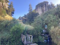 IMG_4123.jpeg