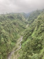IMG_4148.jpeg