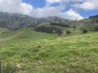 IMG_4147.jpeg