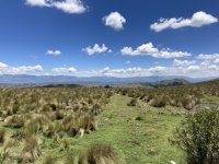 IMG_4168.jpeg