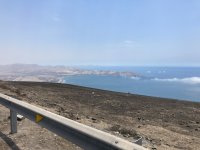 IMG_4313.jpeg