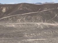 IMG_4326.jpeg