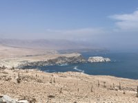 IMG_4371.jpeg