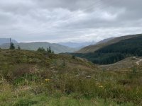 IMG_5767.jpeg IMG_5767.jpeg