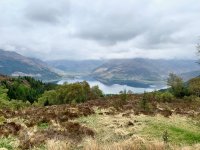 IMG_3213.jpeg