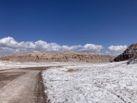 IMG_4421.jpeg