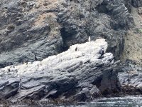IMG_4524.jpeg