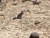 IMG_4573.jpeg