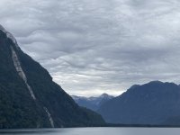 IMG_4635.jpeg