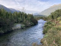 IMG_4652.jpeg