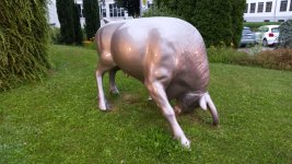 20240723_060206.jpg