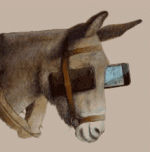IMG_1932.gif
