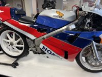 IMG_3850.jpeg