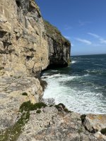 IMG_0228.jpeg