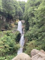 IMG_4692.jpeg