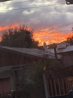 IMG_4701.jpeg
