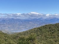 IMG_4731.jpeg