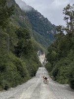 IMG_5078.jpeg