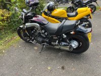 IMG_0238.jpeg