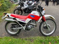 IMG_0202.jpeg