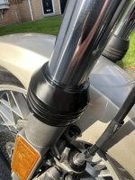 IMG_6403.jpeg IMG_6403.jpeg