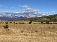 IMG_5279.jpeg