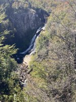 IMG_5406.jpeg